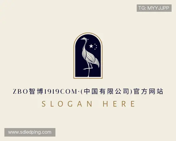 介绍zbo1919